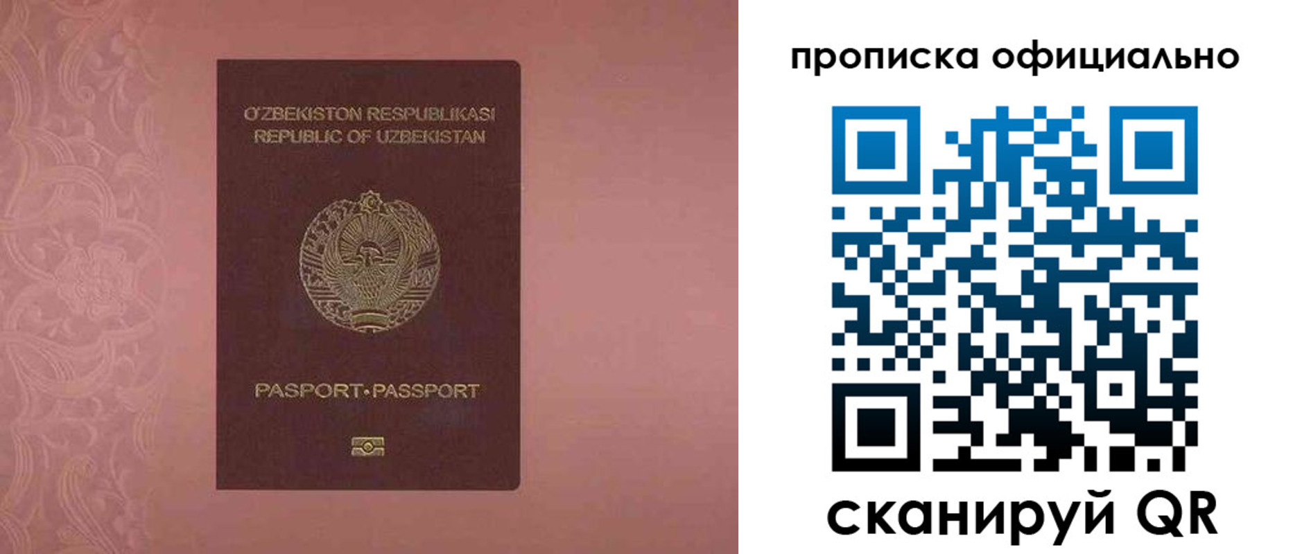 прописка для школы в Похвистнево